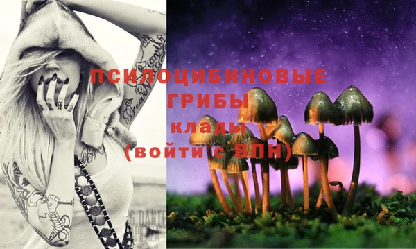 марки lsd Алексеевка