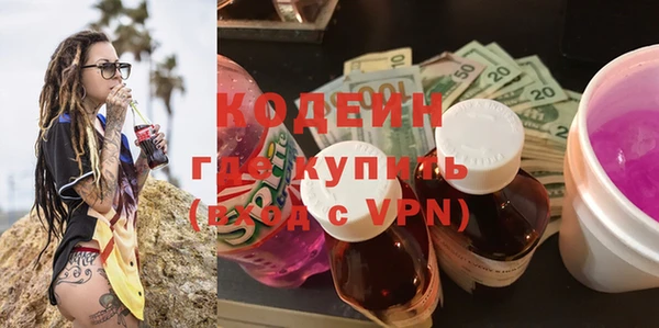метадон Алексин