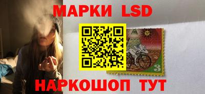 jwh Бийск