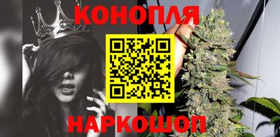jwh Бийск