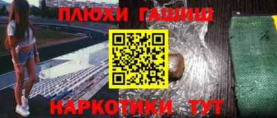 jwh Бийск