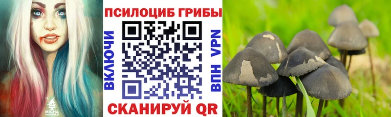 Псилоцибиновые грибы MAGIC MUSHROOMS  гидра рабочий сайт  shop состав  Бахчисарай 