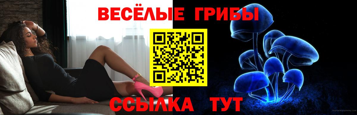 Псилоцибиновые грибы прущие грибы  купить наркоту  Бахчисарай  Вход с VPN 